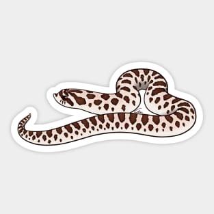 Arctic Western Hognose Sticker